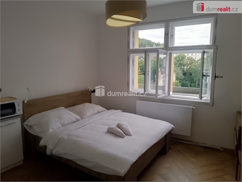 Pronájem bytu 1kk, 20 m² 4