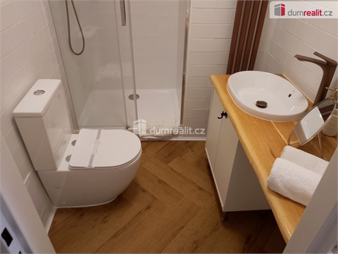 Pronájem bytu 1kk, 20 m² - 14