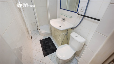 Prodej bytu 2+1, 75 m² 18