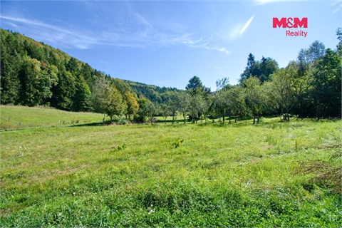 Prodej louky, 2 068 m² - 0