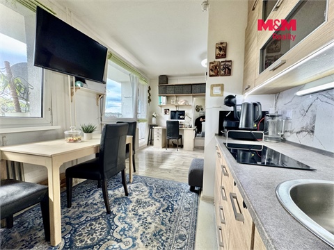 Prodej bytu 1kk, 34 m² 22