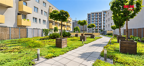 Pronájem bytu 3kk, 66 m² 14