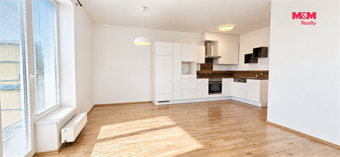 Pronájem bytu 3kk, 66 m² 2