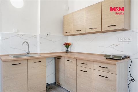 Prodej bytu 1+1, 49 m² 6