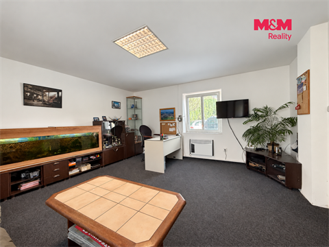 Prodej obchodních prostor, 252 m² 8