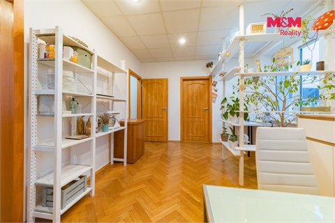 Prodej bytu 4+1, 81 m² 4