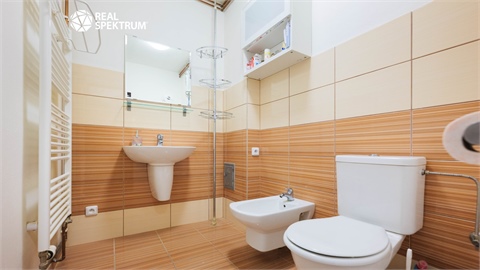 Prodej rodinného domu, 217 m² - 26