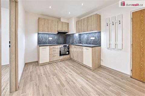 Pronájem obchodních prostor, 39 m² 2