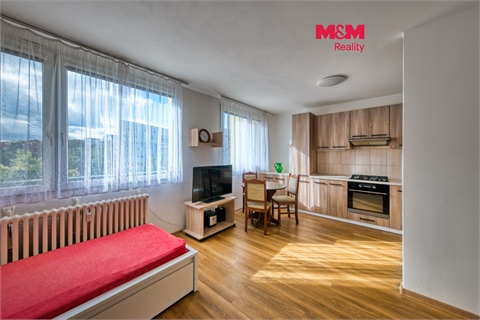 Prodej bytu 1kk, 30 m² 0