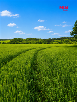 Prodej zemědělské půdy, 7 484 m² - 0