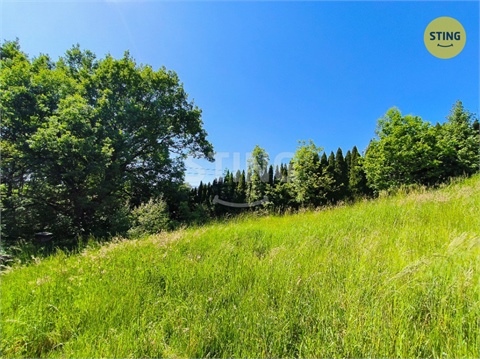 Prodej stavebního pozemku, 2 000 m² - 6