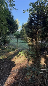 Prodej chaty / chapuly, 29 m² - 14