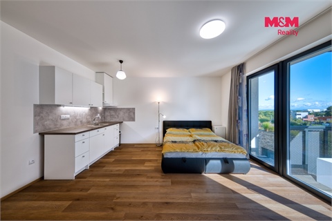 Prodej bytu 1kk, 38 m² 8