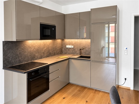 Pronájem bytu 2kk, 55 m² - 0