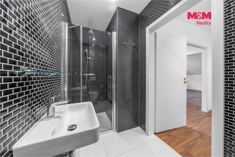 Prodej rodinného domu, 486 m² - 6