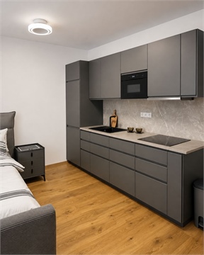 Pronájem komerčního objektu, 41 m² 0