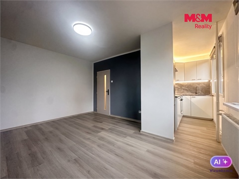 Prodej bytu 1+1, 26 m² - 2