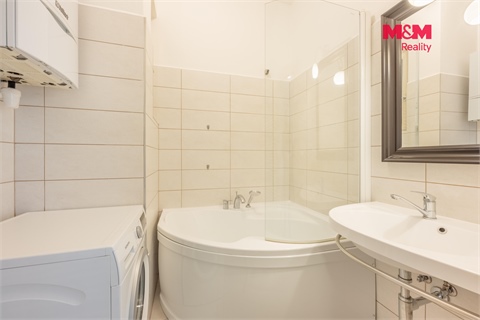 Pronájem bytu 3+1, 101 m² 18