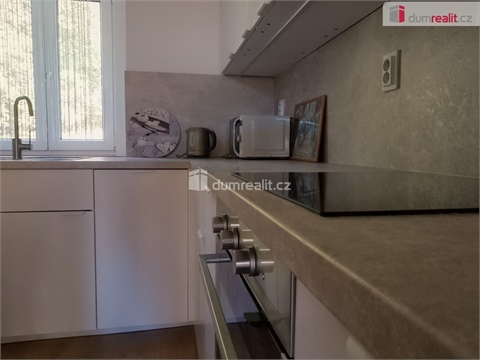 Pronájem bytu 1+1, 39 m² - 0