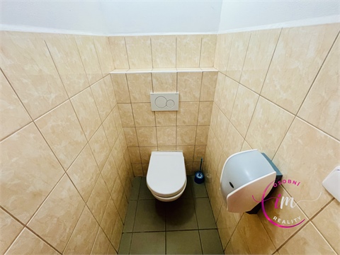 Pronájem komerčního objektu, 282 m² 22