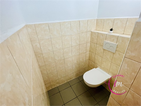 Pronájem komerčního objektu, 282 m² 18