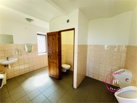 Pronájem komerčního objektu, 282 m² - 20