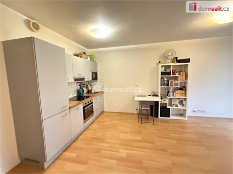Pronájem bytu 1kk, 39 m² 2