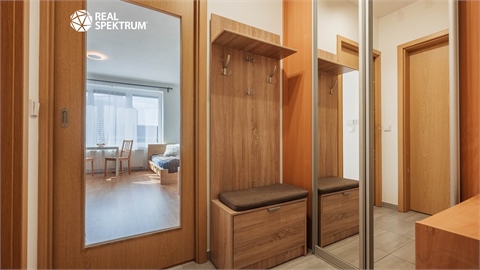 Prodej bytu 1kk, 34 m² 8