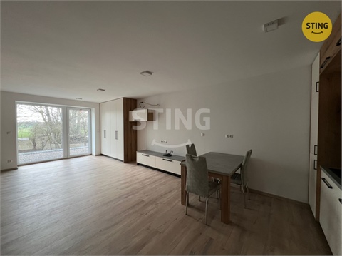 Pronájem bytu 1kk, 60 m² 4
