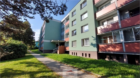 Pronájem bytu 1kk, 24 m² 4