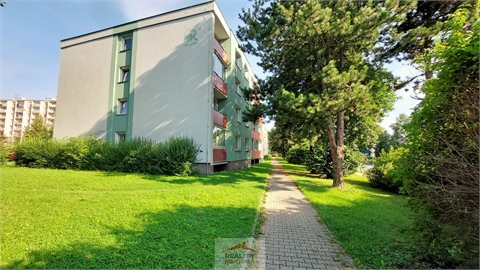 Pronájem bytu 1kk, 24 m² - 18