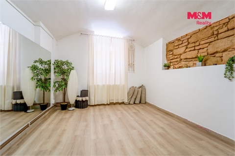 Pronájem obchodních prostor, 109 m² - 4