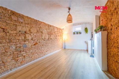 Pronájem obchodních prostor, 109 m² - 6