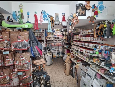Pronájem obchodních prostor, 55 m² 4