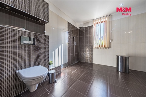 Prodej rodinného domu, 300 m² - 18