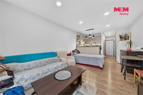 Prodej bytu 1kk, 30 m² - 2