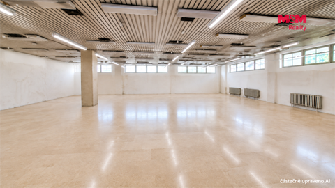 Pronájem obchodních prostor, 260 m² 4