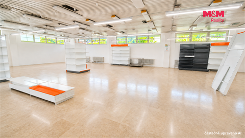Pronájem obchodních prostor, 260 m² - 2
