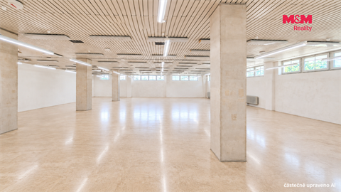 Pronájem obchodních prostor, 260 m² 2