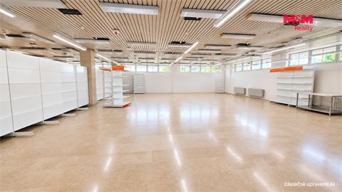 Pronájem obchodních prostor, 260 m² - 0