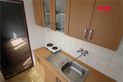 Prodej bytu 1+1, 27 m² 14