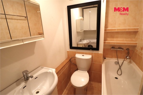 Prodej bytu 1+1, 27 m² 16