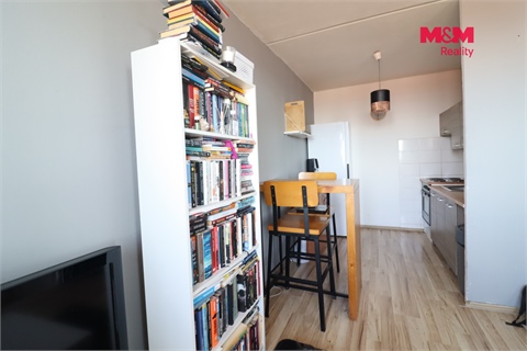 Prodej bytu 1kk, 33 m² - 4