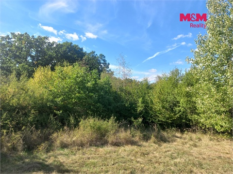 Prodej stavebního pozemku, 3 000 m² 6