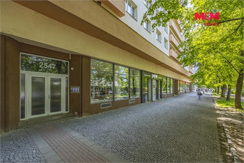 Prodej bytu 4+1, 91 m² 14