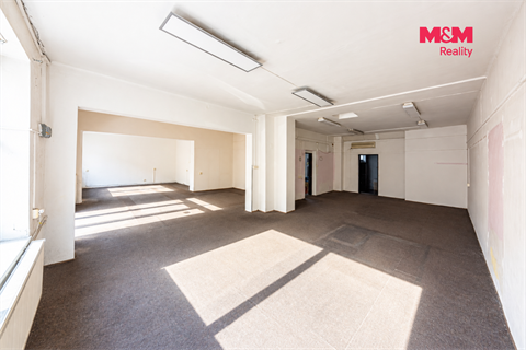 Pronájem obchodních prostor, 890 m² 8