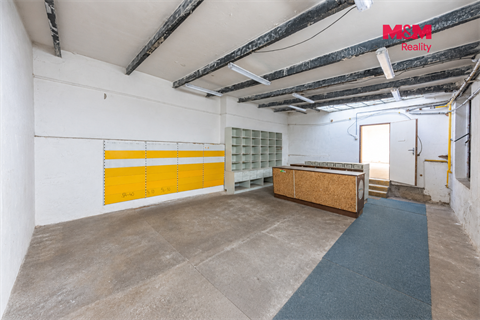 Pronájem obchodních prostor, 890 m² - 16
