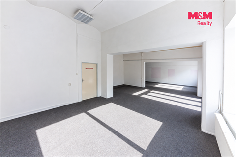 Pronájem obchodních prostor, 890 m² - 8
