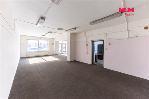 Pronájem obchodních prostor, 890 m² - 6