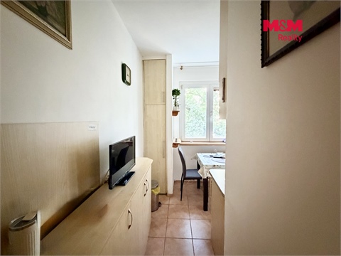 Prodej bytu 3+1, 53 m² 10